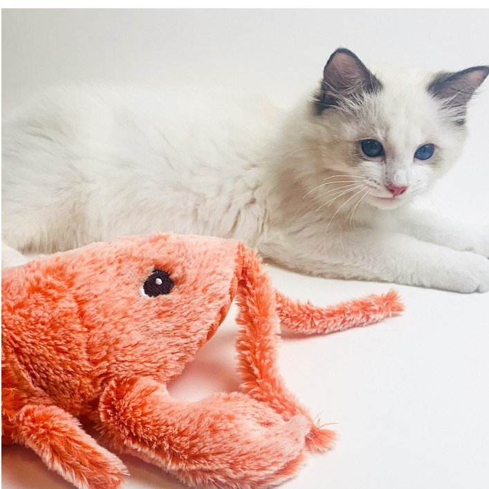 Pet Toys Electric Jumping Shrimp USB Charging Simulation Lobster Funny Cat Plush Pets Toy - Image 5